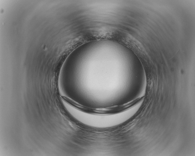 X0000087380416200705041950