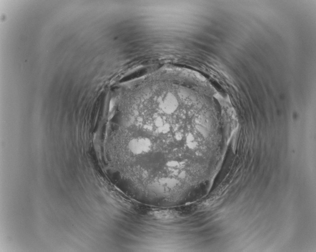 X0000087380417200705041950