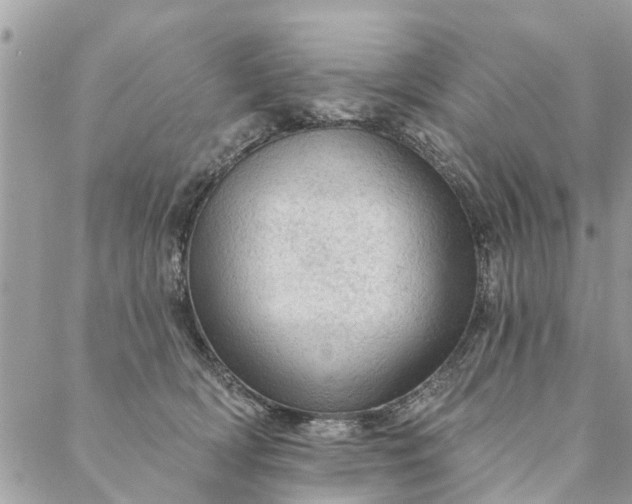 X0000087380418200705041950