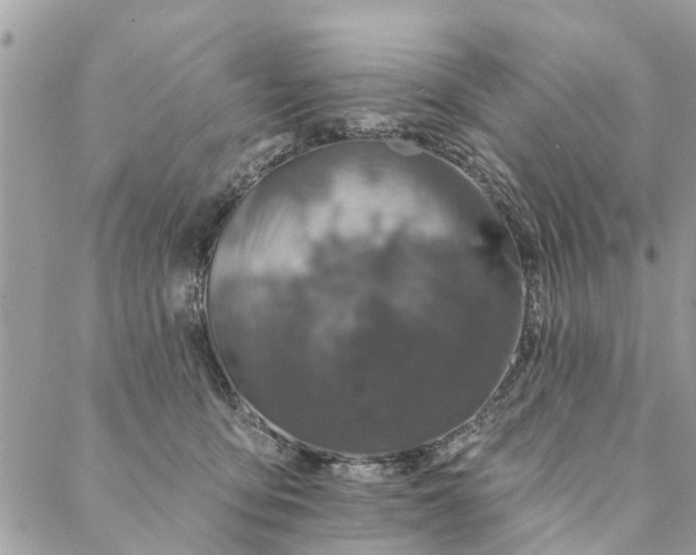 X0000087380419200705041950