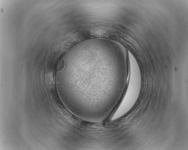 X0000087380420200705041950