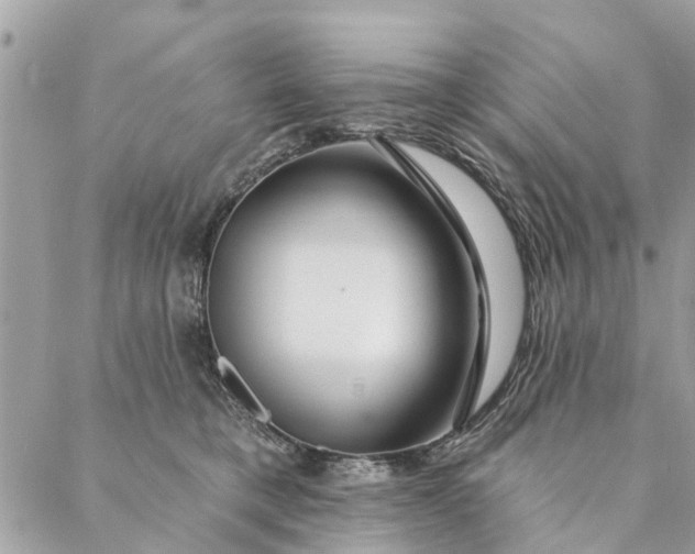 X0000087380421200705041950