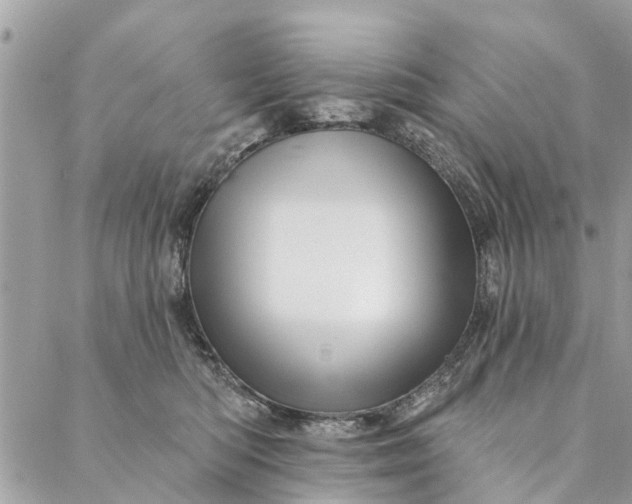 X0000087380422200705041950