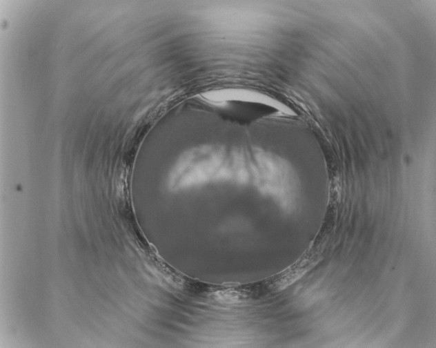 X0000087380423200705041950