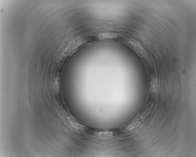 X0000087380426200705041950