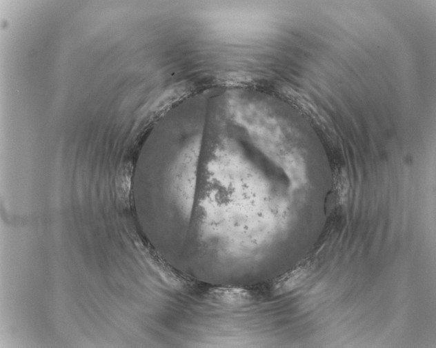 X0000087380427200705041950