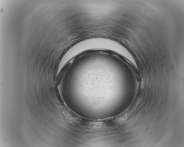 X0000087380428200705041950