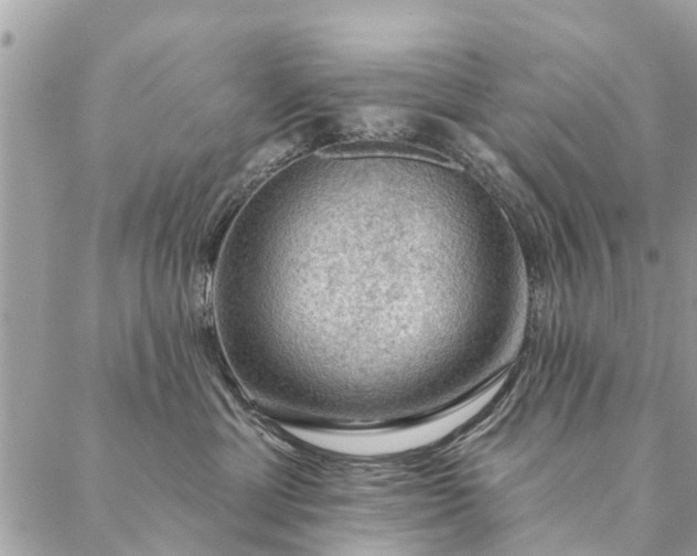 X0000087380429200705041950