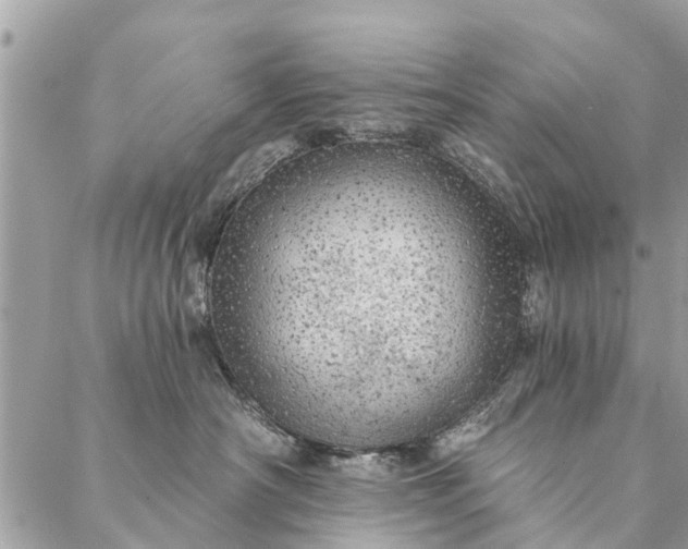 X0000087380430200705041950