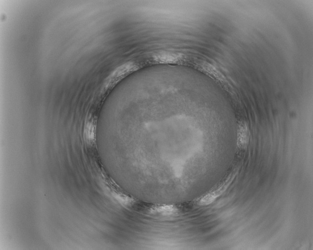 X0000087380431200705041950