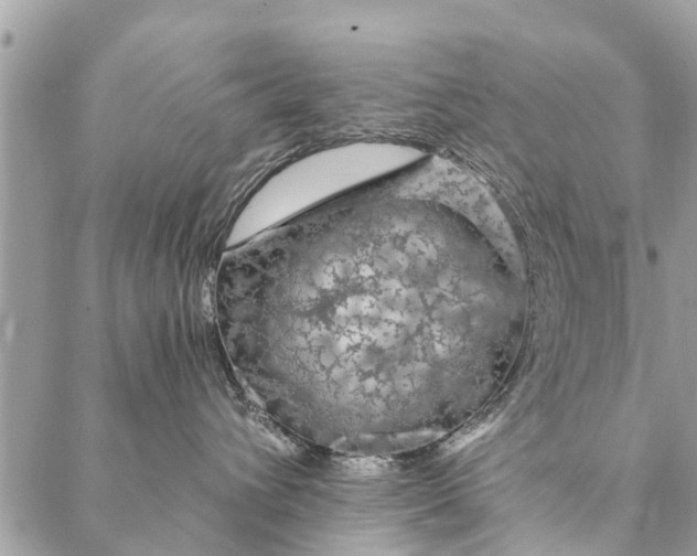 X0000087380432200705041950