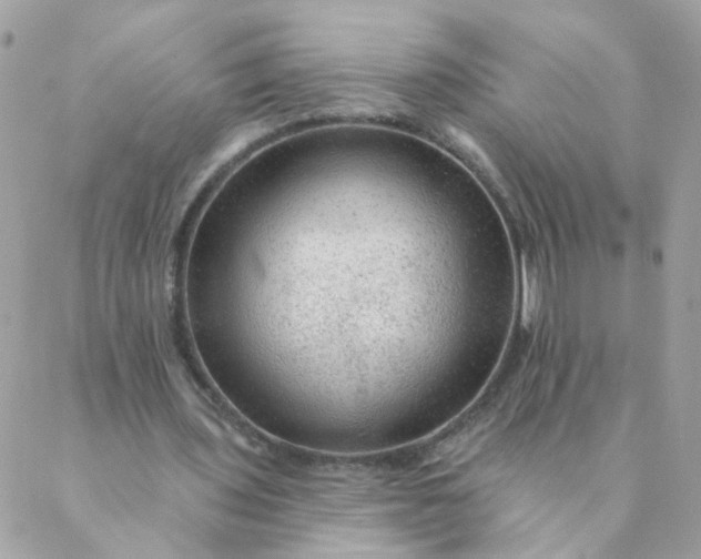 X0000087380435200705041949