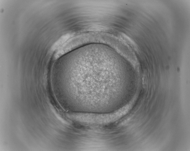 X0000087380436200705041949