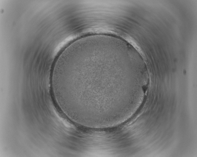 X0000087380438200705041949