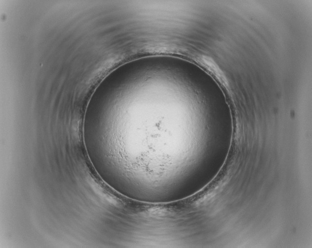 X0000087380441200705041949