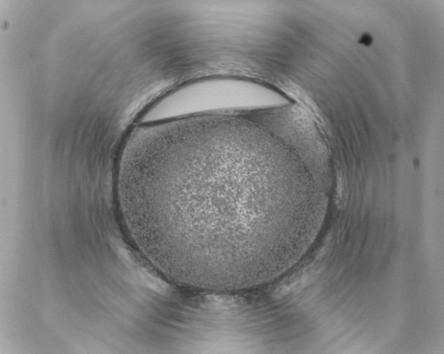 X0000087380442200705041949