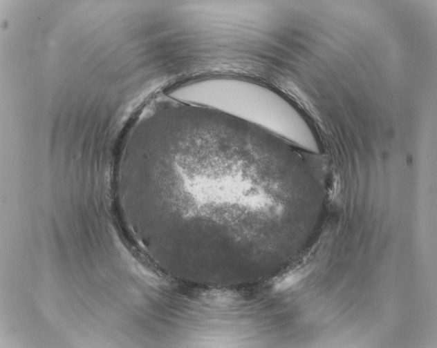 X0000087380444200705041949