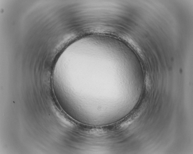 X0000087380445200705041949