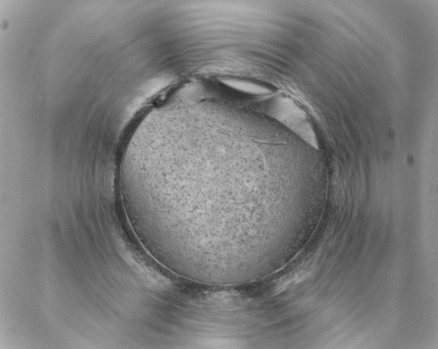 X0000087380446200705041949