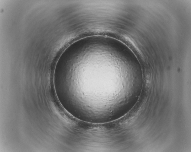 X0000087380447200705041949