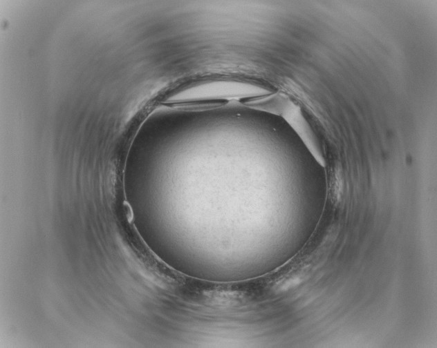 X0000087380448200705041949