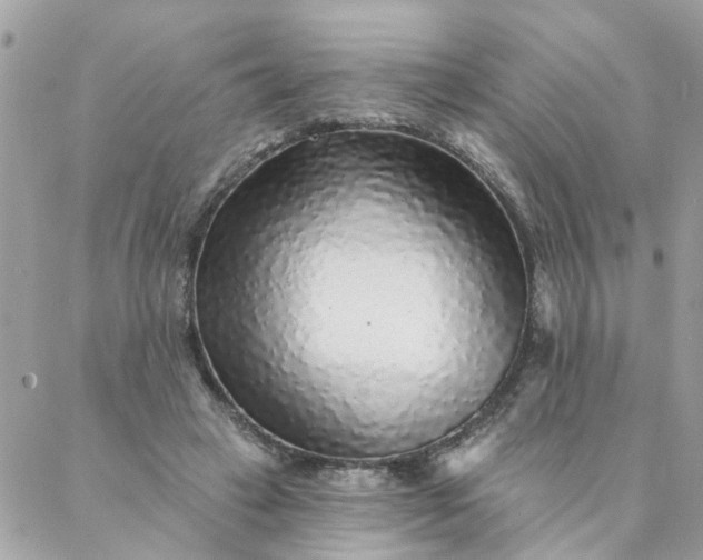 X0000087380449200705041949