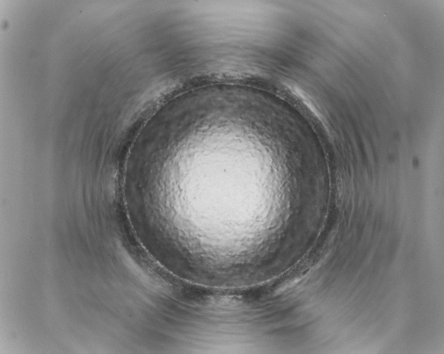 X0000087380451200705041949