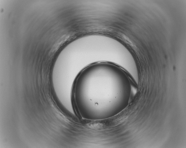 X0000087380452200705041949