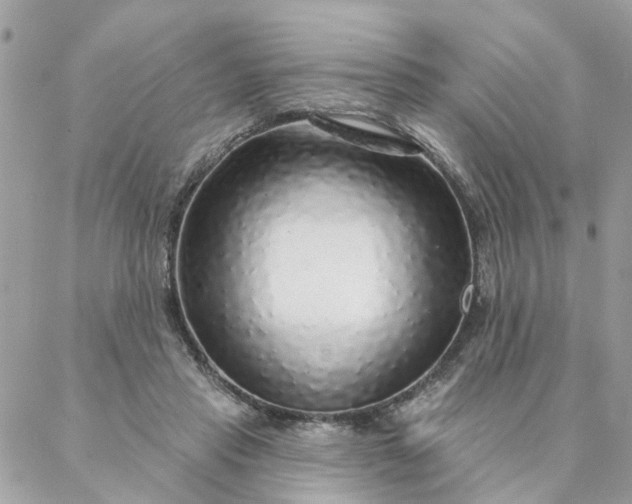 X0000087380453200705041949