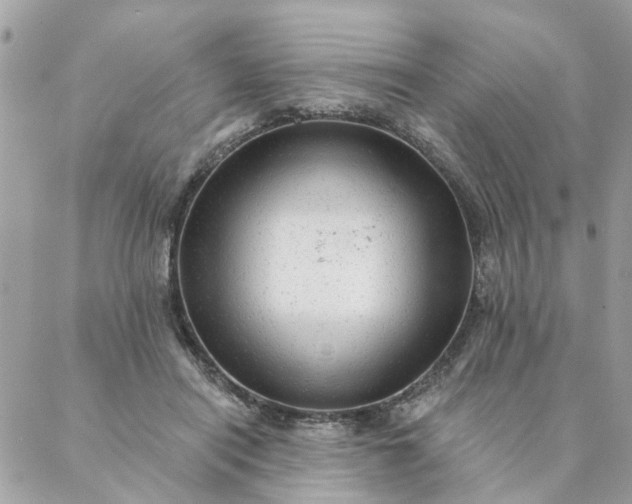 X0000087380454200705041949