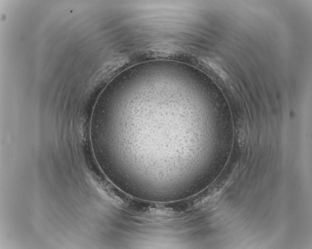 X0000087380455200705041949