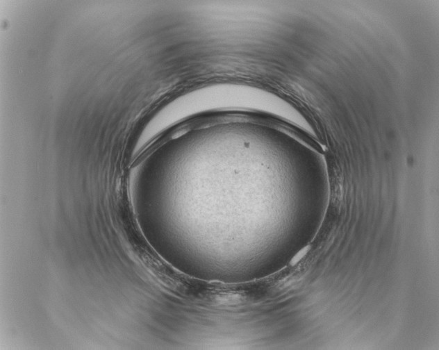 X0000087380456200705041949