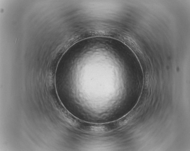 X0000087380457200705041949