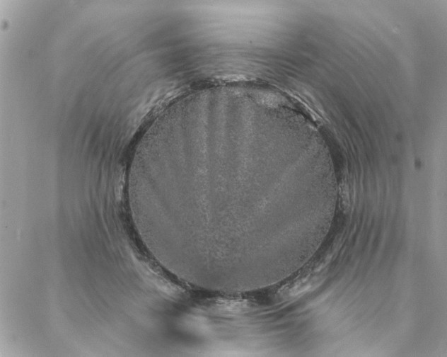 X0000087380458200705041949