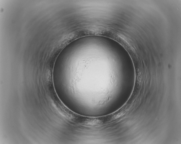 X0000087380459200705041949