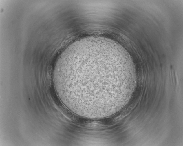 X0000087380460200705041949