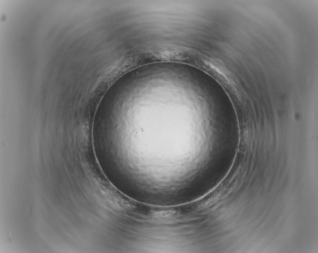 X0000087380461200705041949