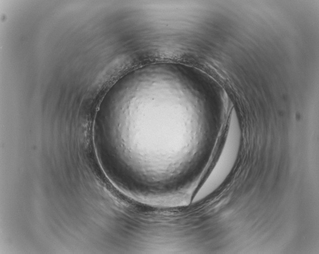 X0000087380462200705041949