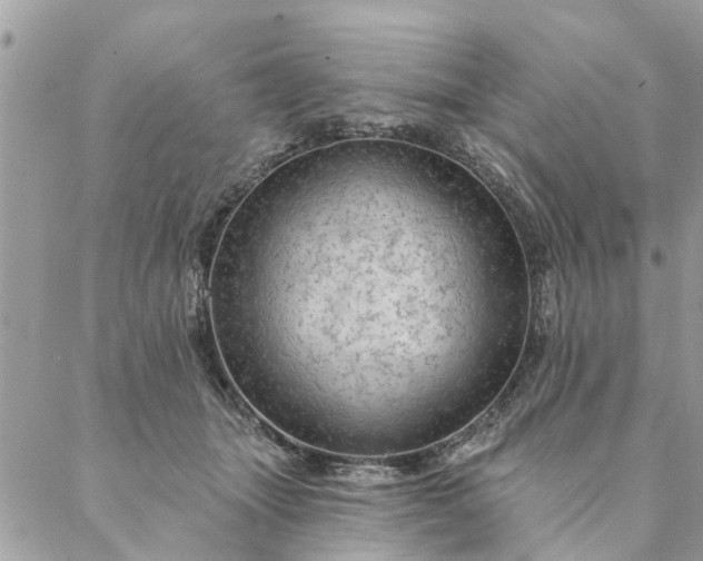 X0000087380463200705041950