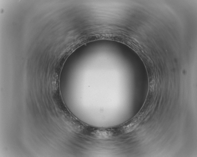 X0000087380464200705041950