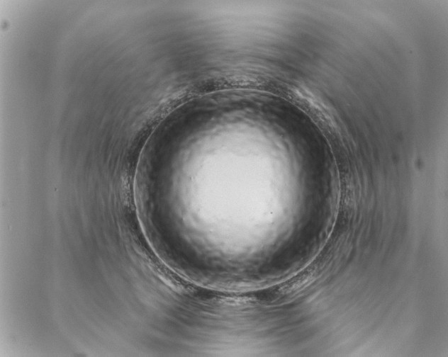 X0000087380465200705041950