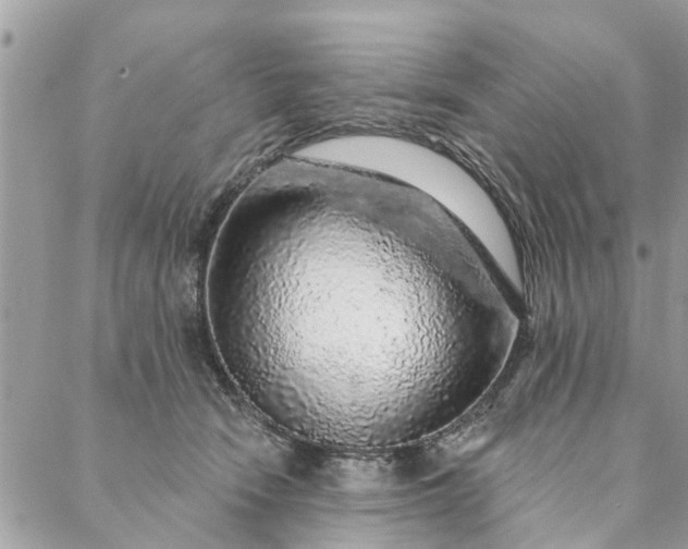 X0000087380466200705041950