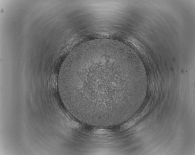 X0000087380467200705041950