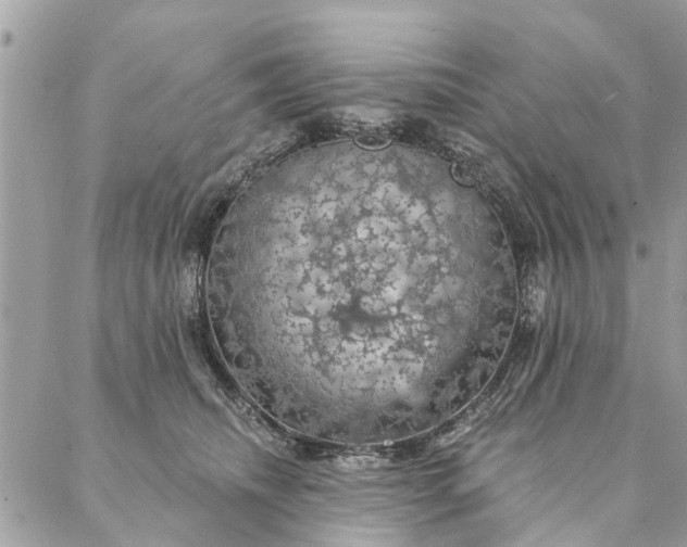 X0000087380468200705041950