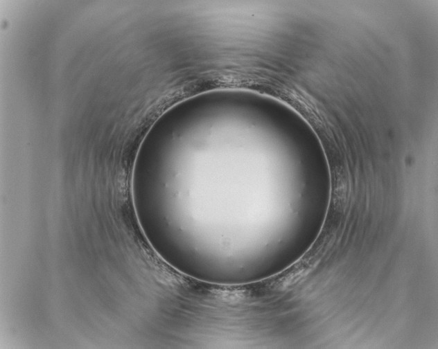 X0000087380469200705041950