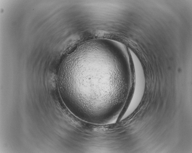 X0000087380470200705041950