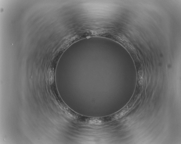 X0000087380471200705041950