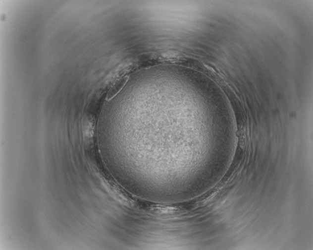 X0000087380472200705041950