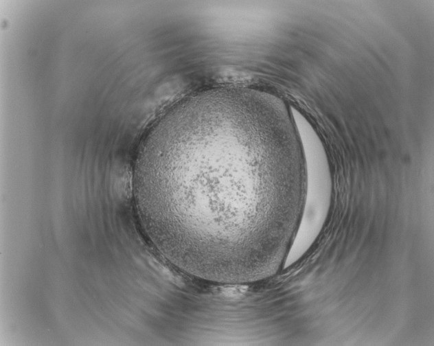 X0000087380474200705041950