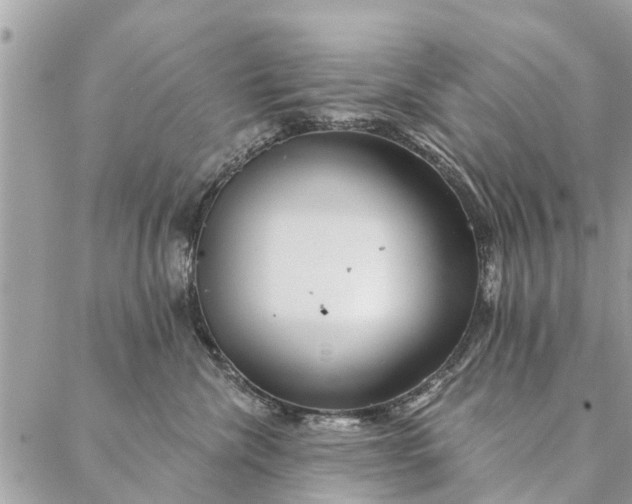 X0000087380476200705041950